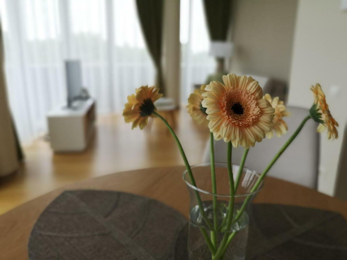 Luxury Apartments Druskieniki Zewnętrze zdjęcie